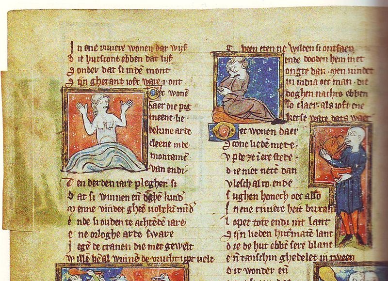 Bladzijde uit middeleeuws boek met tekeningen en tekst